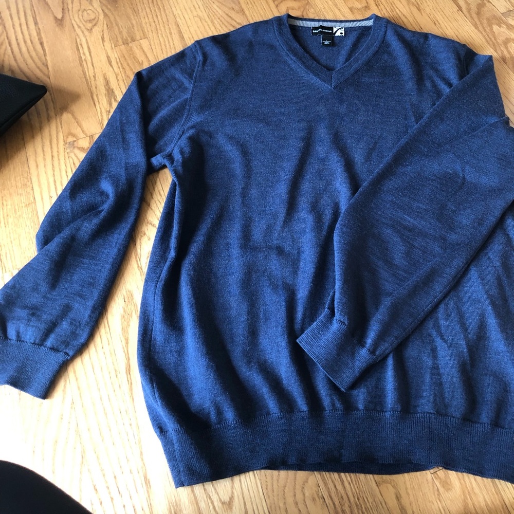 SAKS navy v neck sweater.